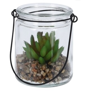 Succulent
