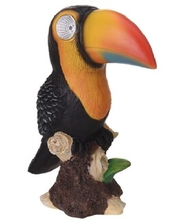 Negru/Portocaliu
