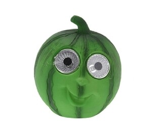 Melon
