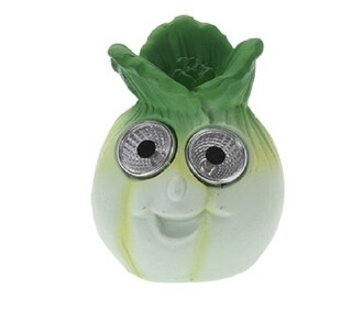 Cabbage
