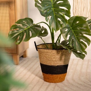 25x24 cm, Multicolor