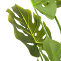 Planta artificiala Tropical Zone, Homla, 13x15.2 cm / 120 cm, plastic, verde