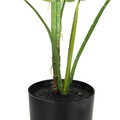 Planta artificiala Tropical Zone, Homla, 13x15.2 cm / 120 cm, plastic, verde
