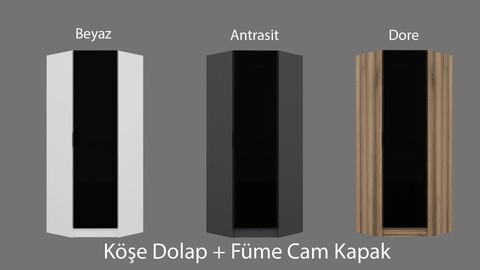 Dulap pentru haine, Minerva, Kale Glass Dark Grey2, 74x210x52 cm, PAL, Antracit