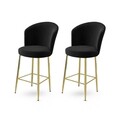 Set scaun de bar (2 bucăți), Hanah Home, Alte, Negru