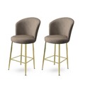 Set scaun de bar (2 bucăți), Hanah Home, Alte, Cappuccino / Aur