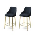 Set scaun de bar (2 bucăți), Hanah Home, Enox, Antracit / Aur