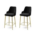 Set scaun de bar (2 bucăți), Hanah Home, Enox, Negru