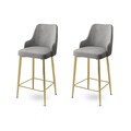Set scaun de bar (2 bucăți), Hanah Home, Enox, Gri / Auriu