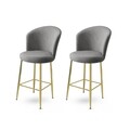 Set scaun de bar (2 bucăți), Hanah Home, Fora, Gri / Auriu