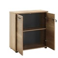 Corp biblioteca, Adore, Nkt-522-Tt-1, 76x75x34 cm, PAL, Stejar