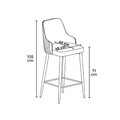 Set scaune  de bar 4 piese, Hanah Home, Enox, Cappuccino / Negru