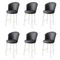 Set scaune de bar 6 piese, Hanah Home, Uras, Antracit/Alb