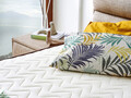 Saltea de pat, Niron, Visco Exclusive 160x200 cm Double Size Memory Foam Luxury Soft Mattress, Coperta: Tesatura de in, Alb/Maro