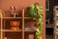 Corp biblioteca, Hanah Home, Nala 120, Natural