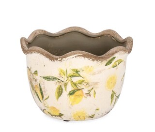 Multicolor, 17x11 cm