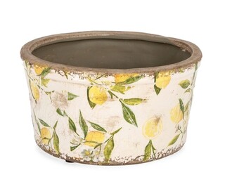 Multicolor, 20x11 cm