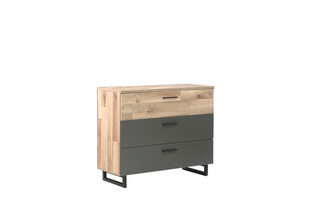 120.1x41.3x85.8 cm, Stejar;Gri