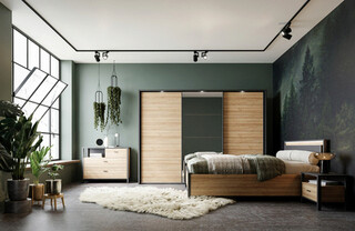 269.9x61.2x210.5 cm, Stejar