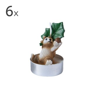 Multicolor, Squirrel