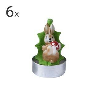 Multicolor, Hedgehog