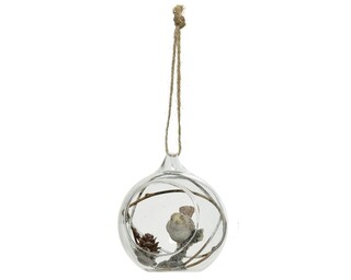 Maro;Transparent, Bird