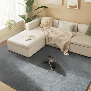 200x290 cm, Gri dove