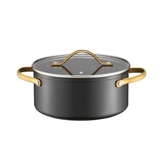 Gri;Auriu, 20 cm / 2.8 L