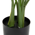 Planta artificiala Tropical Zone, Homla, 90 cm, plastic, verde