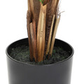 Planta artificiala palmier Tropical Zone, Homla, 120 cm, plastic, verde