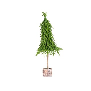 Verde, Brad 55 cm