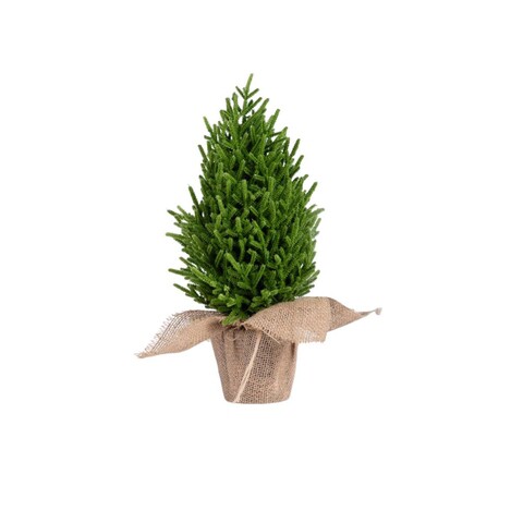 Brad artificial Hector, Homla, 48 cm, plastic, verde