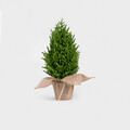 Brad artificial Hector, Homla, 48 cm, plastic, verde