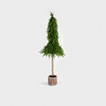 Brad artificial Hector, Homla, 80 cm, plastic, verde