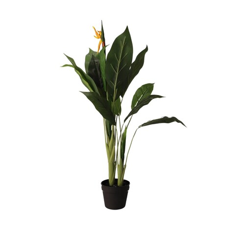 Planta artificiala Ailia, Homla, 13x15 cm / 100 cm, plastic, verde
