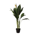 Planta artificiala Ailia, Homla, 13x15 cm / 100 cm, plastic, verde