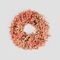 Coronita Cladel, Homla, 36 cm, plastic, coral