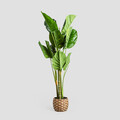 Planta artificiala B2 Difenbachia, Homla, 110 cm, plastic, verde/bej