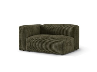 Verde muschi, Modul stanga