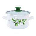 Oala emailata cu capac Eucalipt, Emalia Olkusz, 16 cm, 2 L, otel, alb/verde
