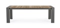 Masa extensibila pentru gradina/terasa Cameron, Bizzotto, 228-294 x 100 x 75 cm, aluminiu/lemn de tec, gri carbune/natural