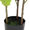 Planta artificiala smochin Tropical Zone, Homla, 15x13 cm / 100 cm, plastic, verde