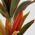 Planta artificiala Tropical Zone, Homla, 14x13 cm / 90 cm, plastic, multicolor