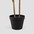Planta artificiala Tropical Zone, Homla, 14x13 cm / 90 cm, plastic, multicolor