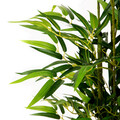 Planta artificiala bambus Tropical Zone, Homla, 180 cm, plastic, verde