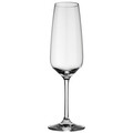 Set 4 pahare pentru sampanie, Vivo Villeroy & Boch, Voice Basic Glass, 120 ml, sticla cristal