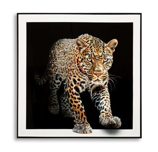 82x82 cm, Multicolor, Jaguar  -A