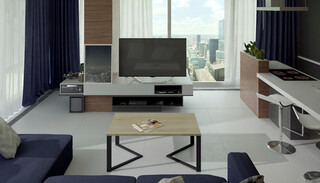 90x60x42 cm, Negru/Maro