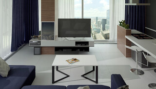 90x60x42 cm, Negru/Alb