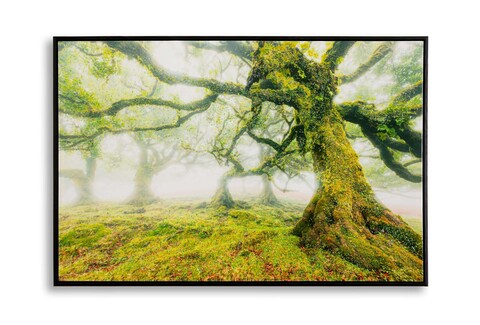 Tablou decorativ Forest, Mauro Ferretti, 60x90 cm, canvas/lemn de pin/plastic, multicolor